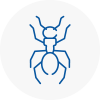 Ant Removals In East London
