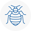 Bed Bug Extermination In East London