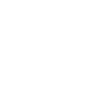 Domestic Ant Control For East London