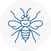 East London Hornet Nest Removals