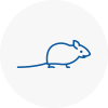 Mice Exterminators In East London