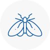 Moth Control Specialists In East London