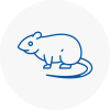 Rat Control East London