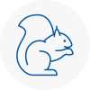 East London Rodent Removals