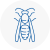 East London Wasp Nest Removal